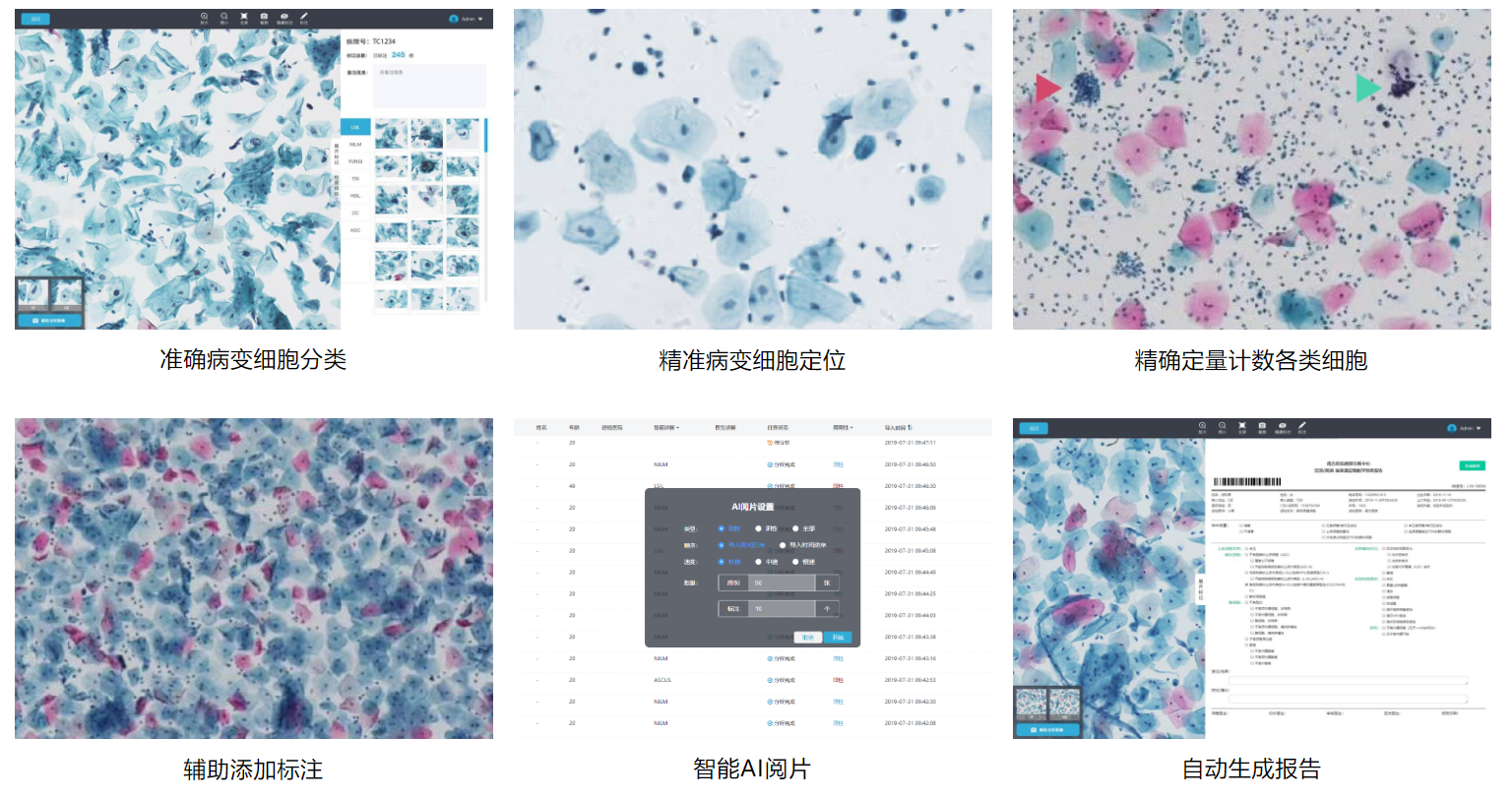 digital pathology collaboration