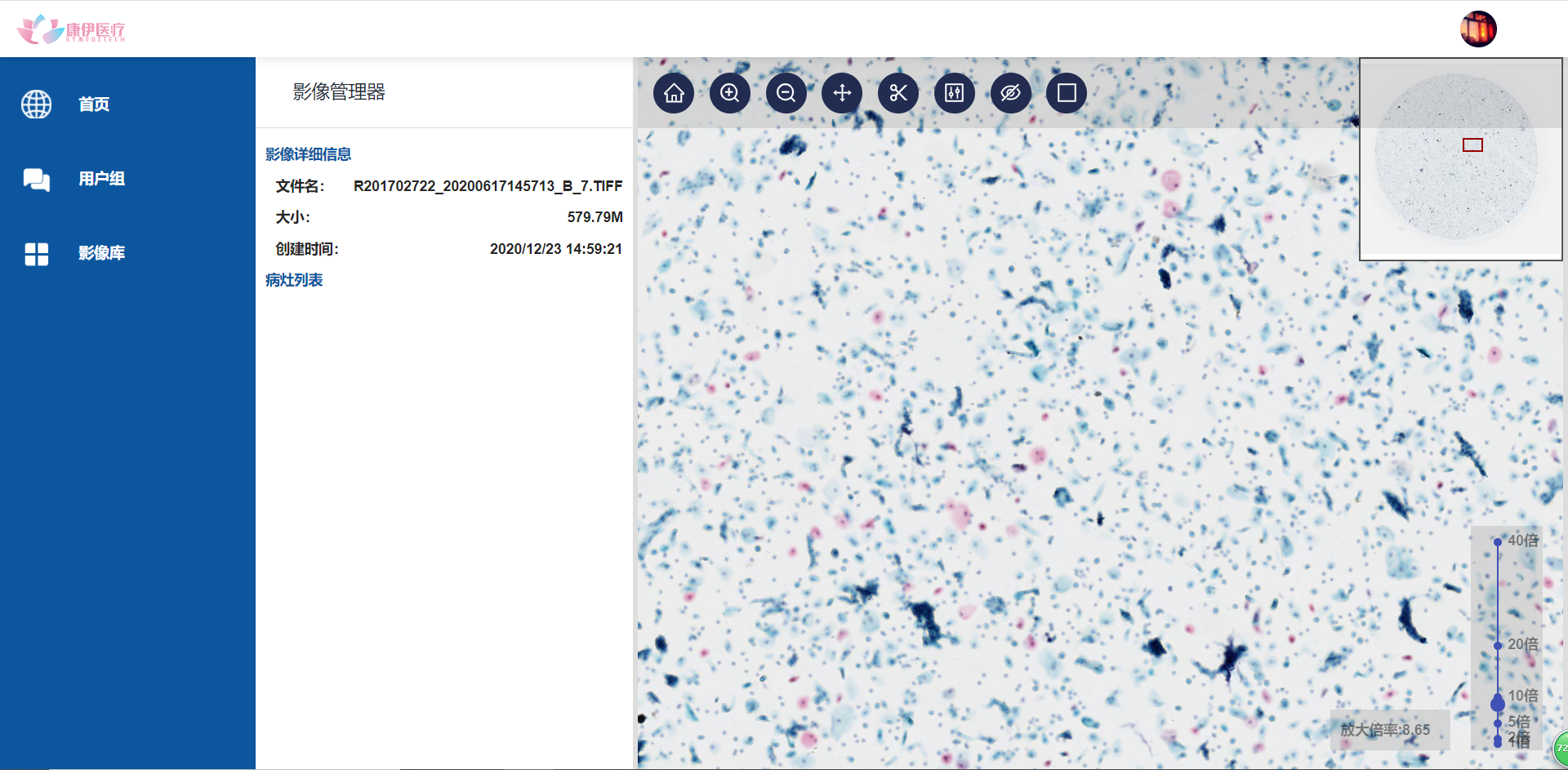 free pathology viewer